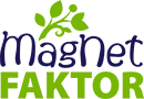 MagNet Bank